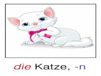 die Katze